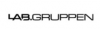 Lab.gruppen